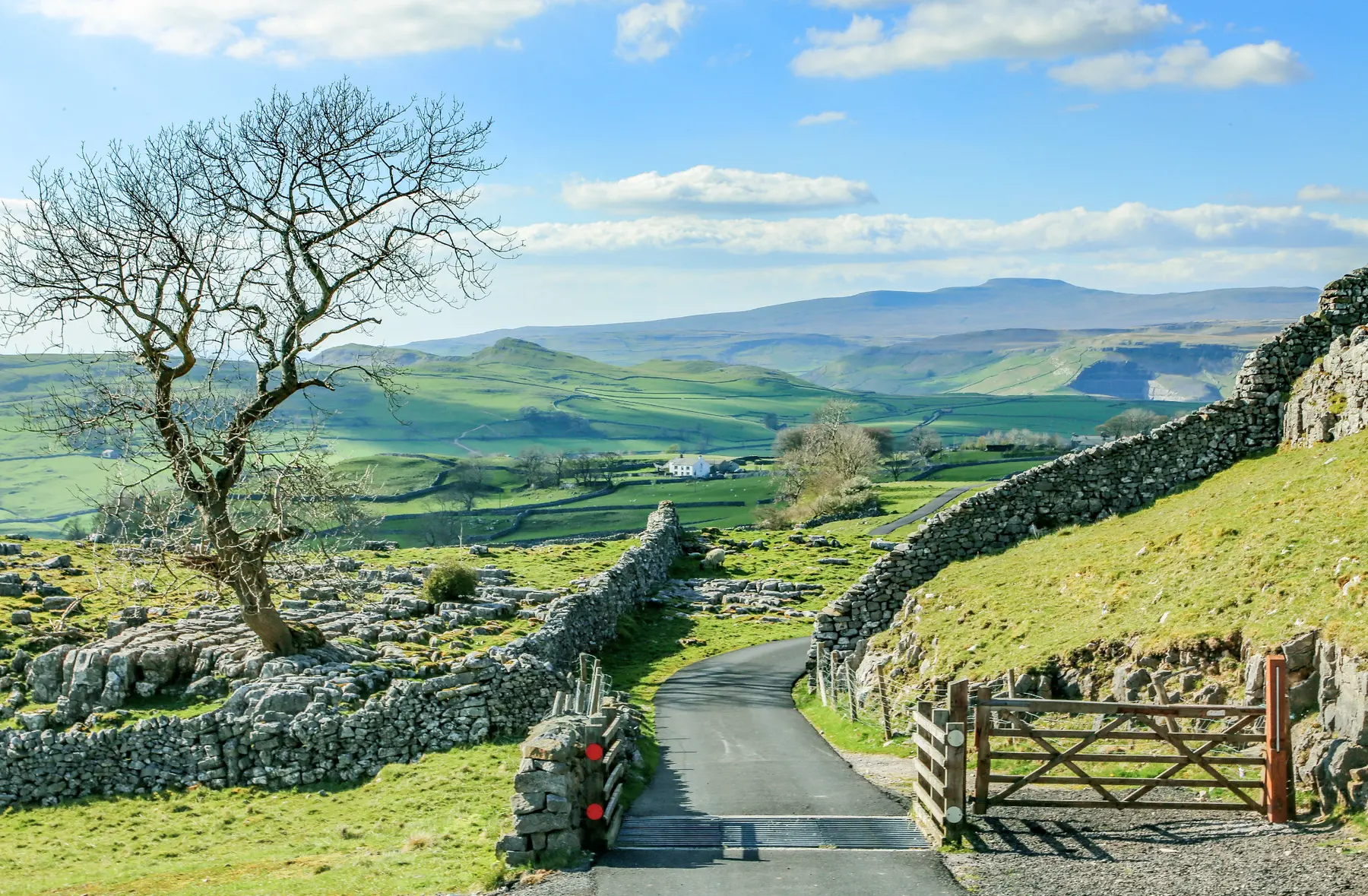 Yorkshire Dales countryside with dry-stone walls and a winding road